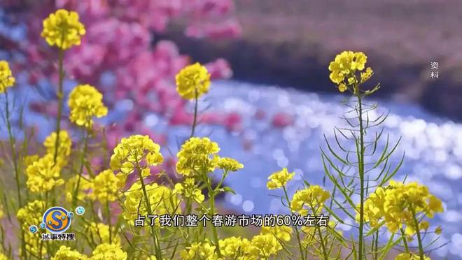 适合春日出游赏花就等你来啦→瓦力棋牌游戏宝藏目的地！超(图2)