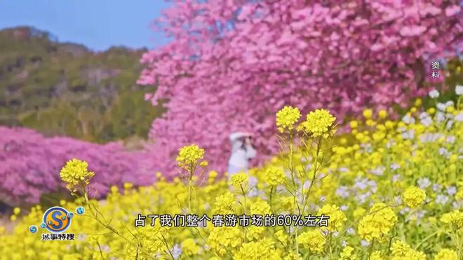 适合春日出游赏花就等你来啦→瓦力棋牌游戏宝藏目的地！超(图3)